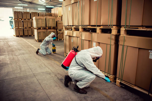 Best Emergency Pest Control  in Timberville, VA