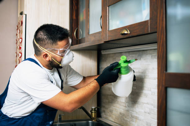 Professional Pest Control in Timberville, VA