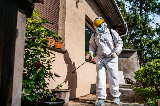 Best Pest Removal Services  in Timberville, VA