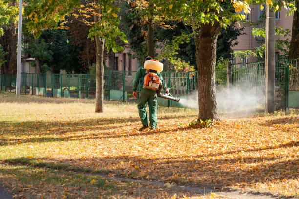 Best Best Pest Control Companies  in Timberville, VA