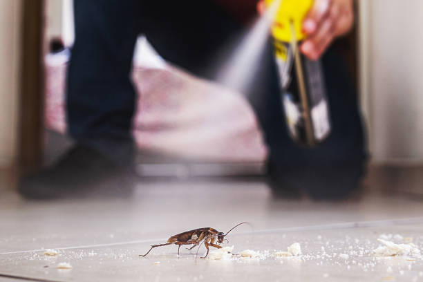 Best Residential Pest Control  in Timberville, VA